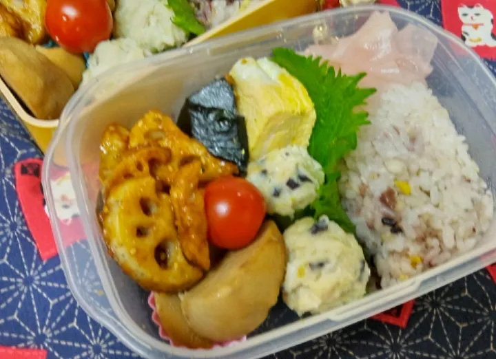 '23．2/9
本日のお弁当🍱|たえさん