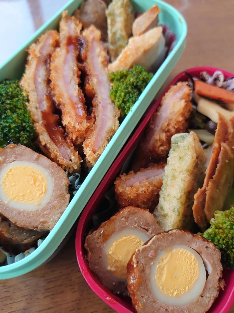 Snapdishの料理写真:親子お弁当|Mayayaさん