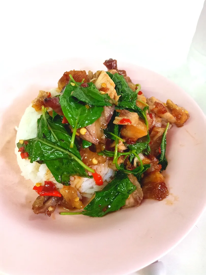 Stir-fried Holy Basil w/ Crispy Pork Belly
(Pad Kaprao Moo Krob) 🌶️🐽🌶️|An'leeさん