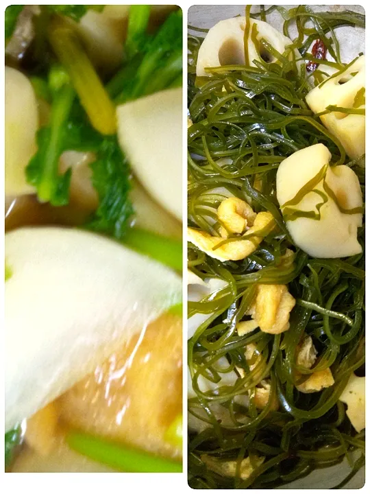 '23．2/9
本日の作りおき😋|たえさん