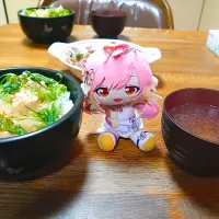 鶏ササミの炊き込み|わんこ餅さん