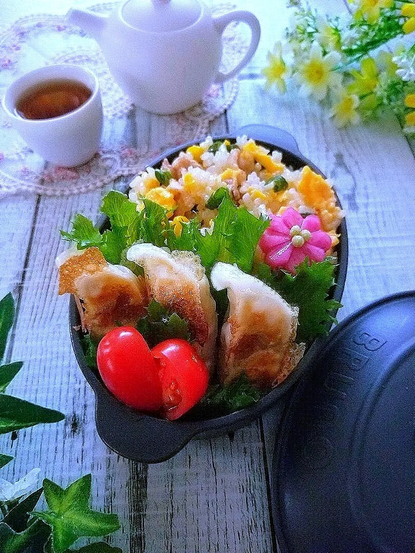 Snapdishの料理写真:炒飯餃子弁当|sugar beansさん