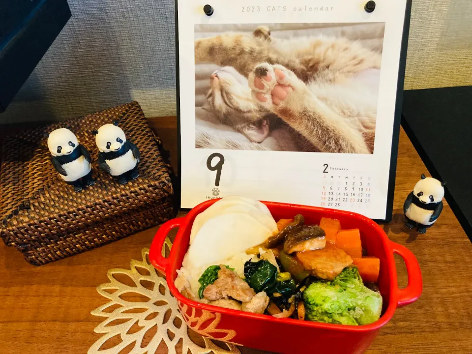 20230209🍱今日の自分弁当🍱|akiyo22さん