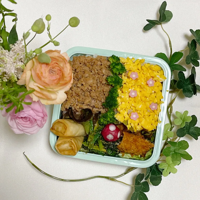 2/10❤︎主人のニ色そぼろ弁当🌱✨|Makinsさん