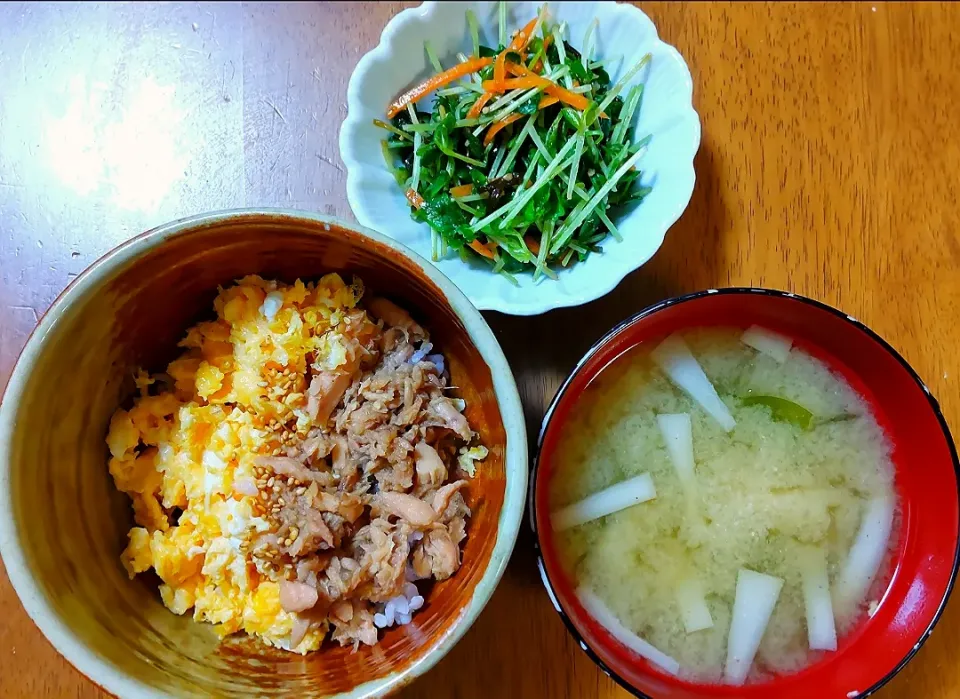 2023 0204　ツナそぼろ　豆苗と塩昆布のサラダ　大根とわかめのお味噌汁|いもこ。さん