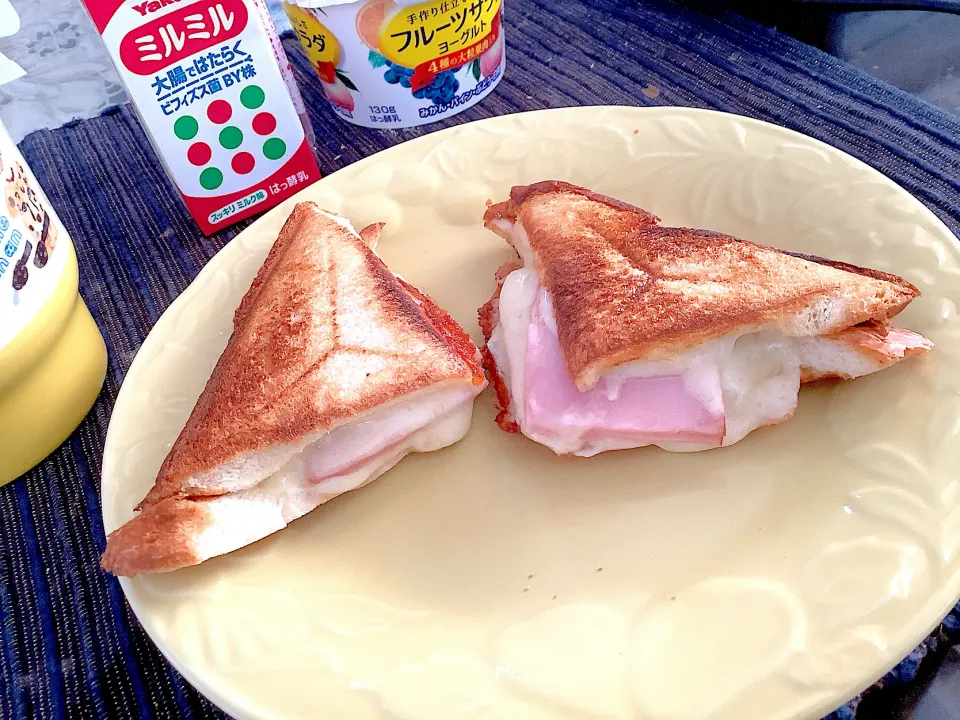 ホットサンドを作ってみた😋|アライさんさん