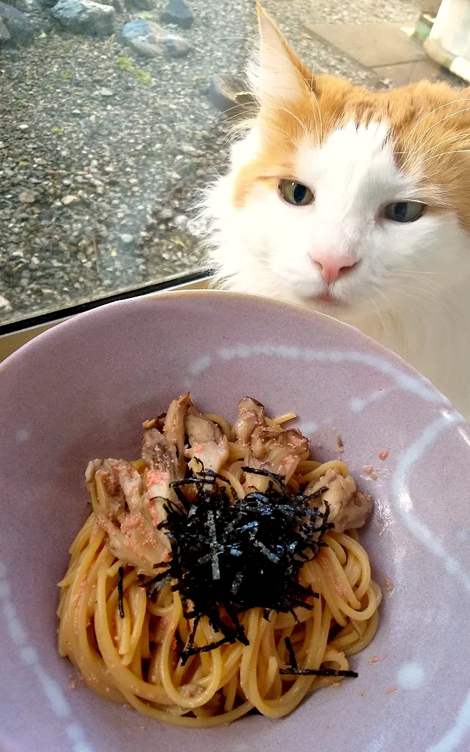 朝ごはんは舞茸明太子パスタ🍝
お天気で気持ちがいいです😸|さくらんぼさん