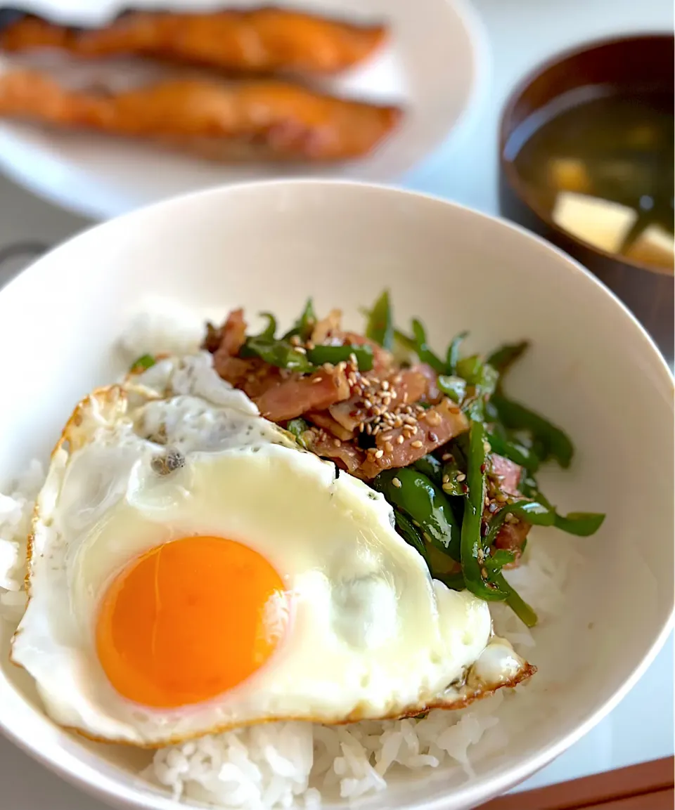 目玉焼き乗せピーマン丼🫑|ともえ☆さん