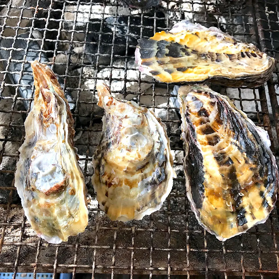 焼牡蠣食べ放題^ ^|saturnさん