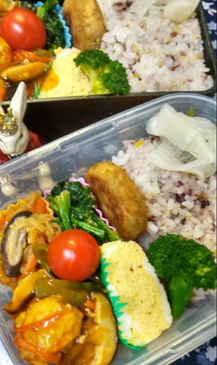 '23．2/12
本日のお弁当🍱|たえさん