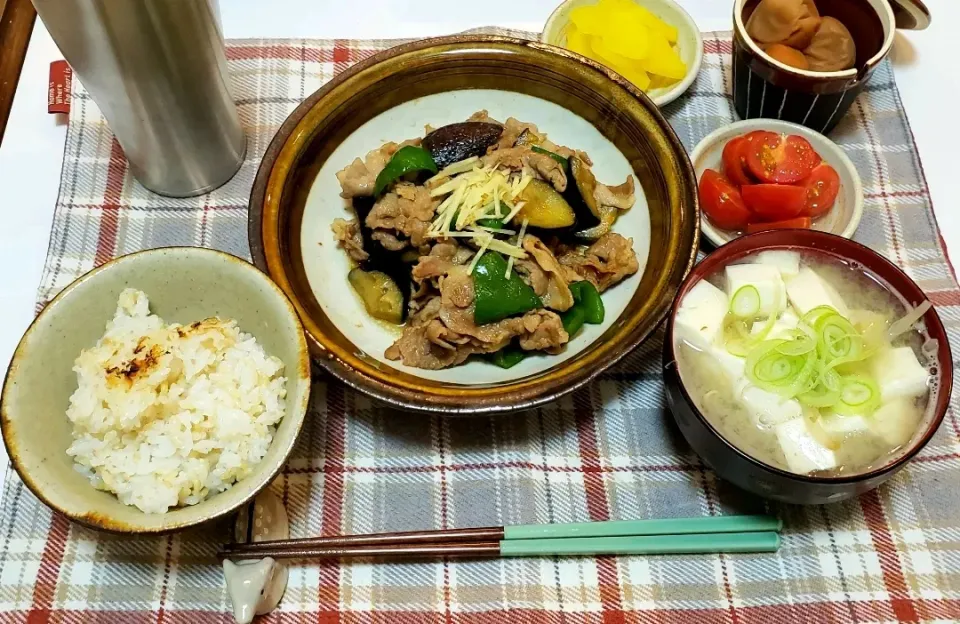 Snapdishの料理写真:ひとり暮らしの夜ご飯
豚となすの甘酢炒め|keeijnsさん