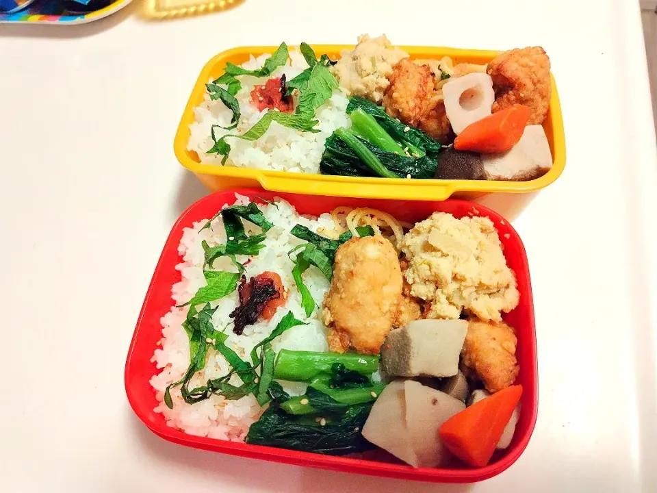 Snapdishの料理写真:わたしと娘のお弁当🎵　2023.2.13|mayumiさん