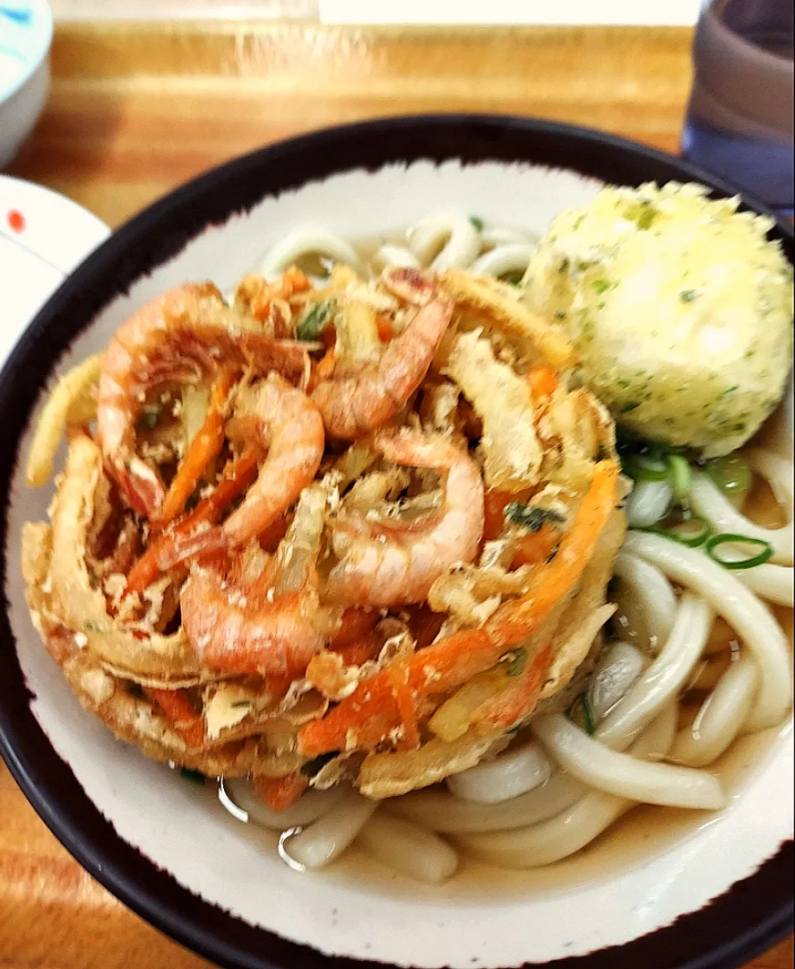 Snapdishの料理写真:香川4日目　SA　かき揚げたまご天うどん|あかね空さん