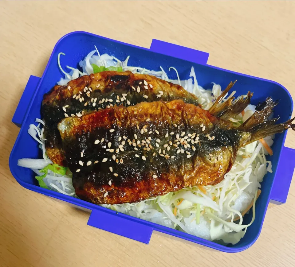 Snapdishの料理写真:今日のお弁当|Kさん