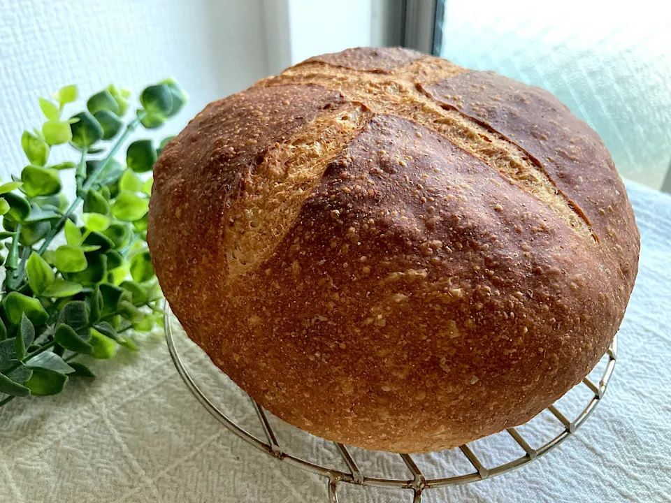 Snapdishの料理写真:＊ライ麦カンパーニュ🥖＊|＊抹茶＊さん