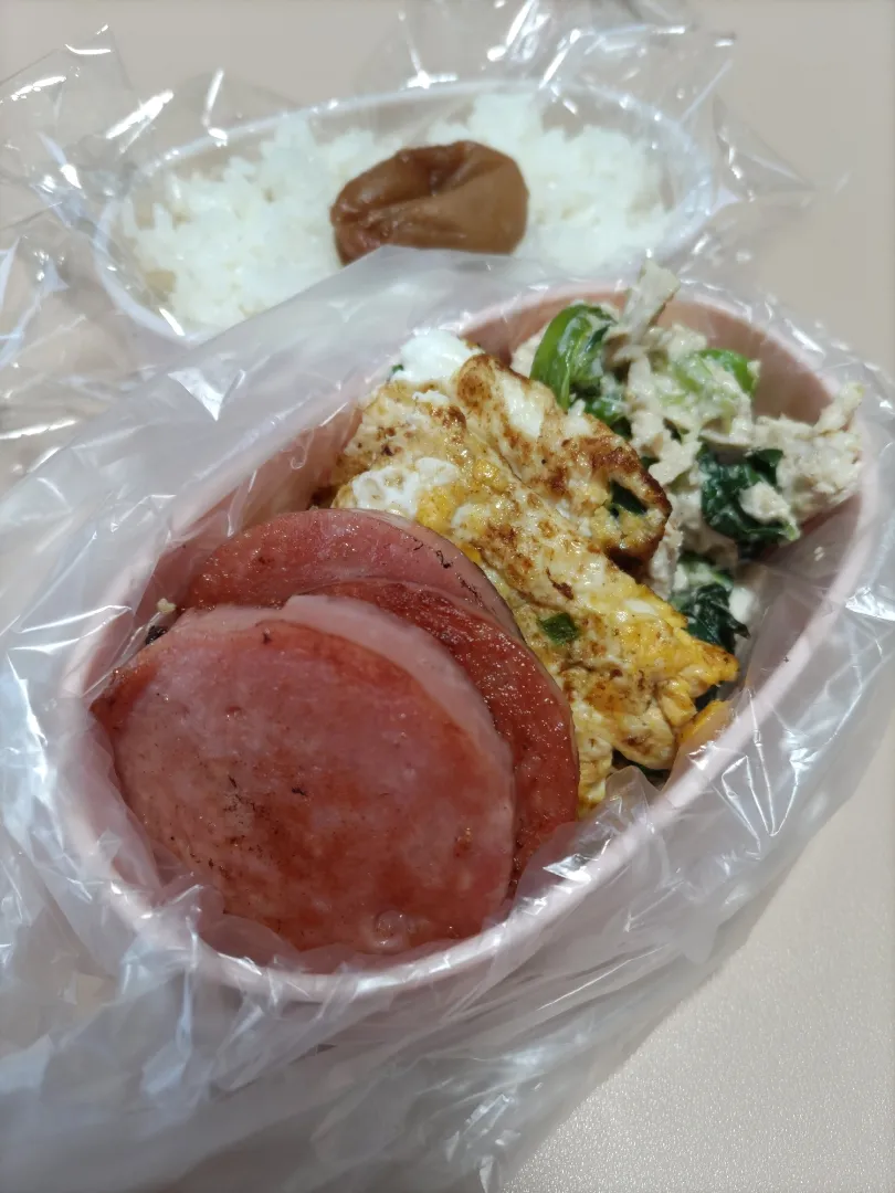 Snapdishの料理写真:2/15 派遣かーちゃん弁当|けろよんさん