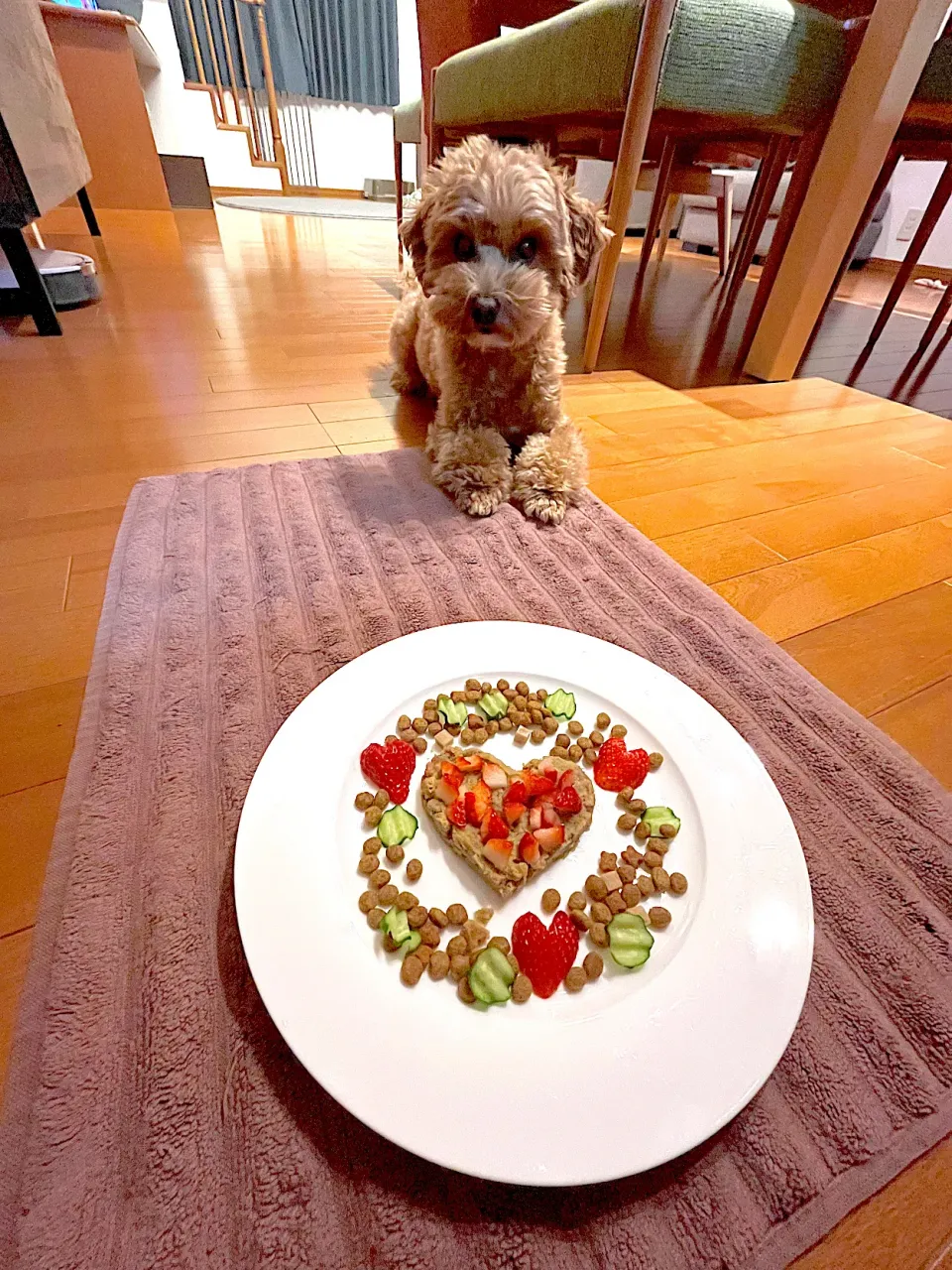 愛犬ロンのバレンタインご飯❤️|ひとみさん