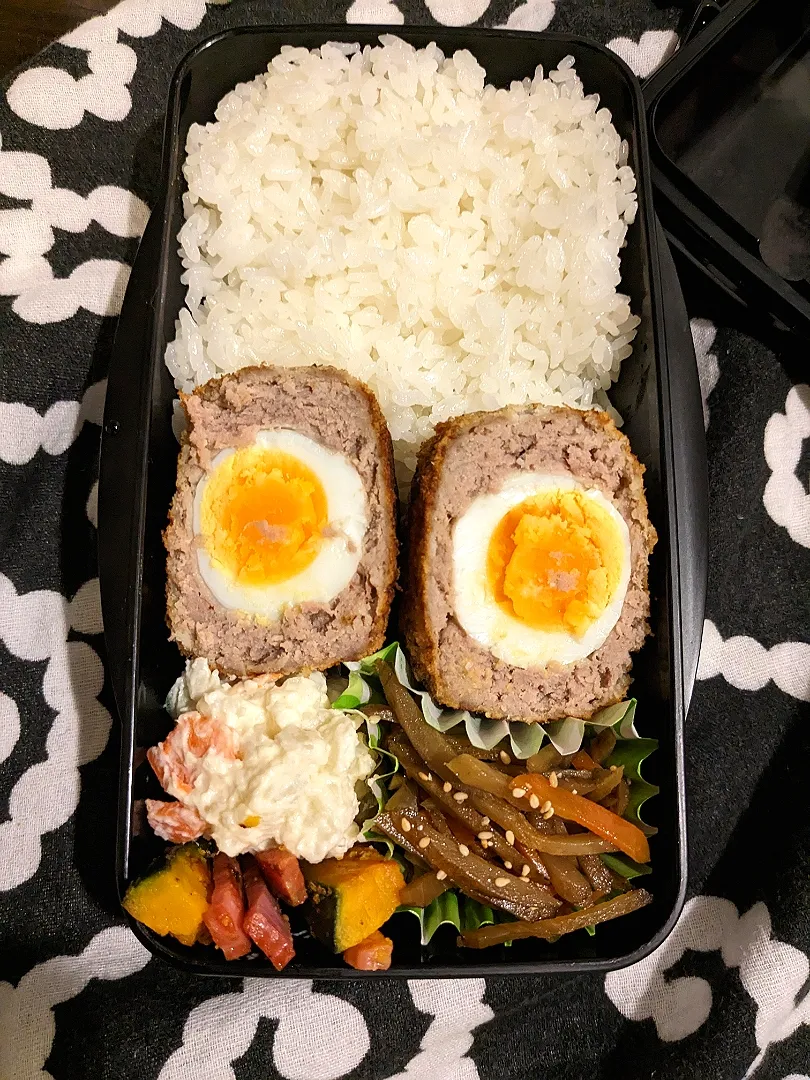 Snapdishの料理写真:スコッチエッグ弁当|きゅーさん