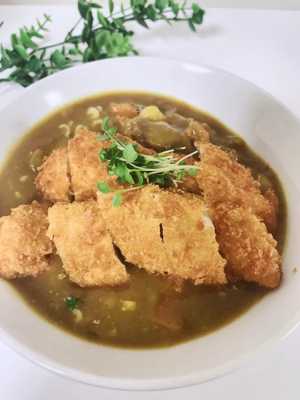 ササミカツのせカレーうどん|オーロラさん