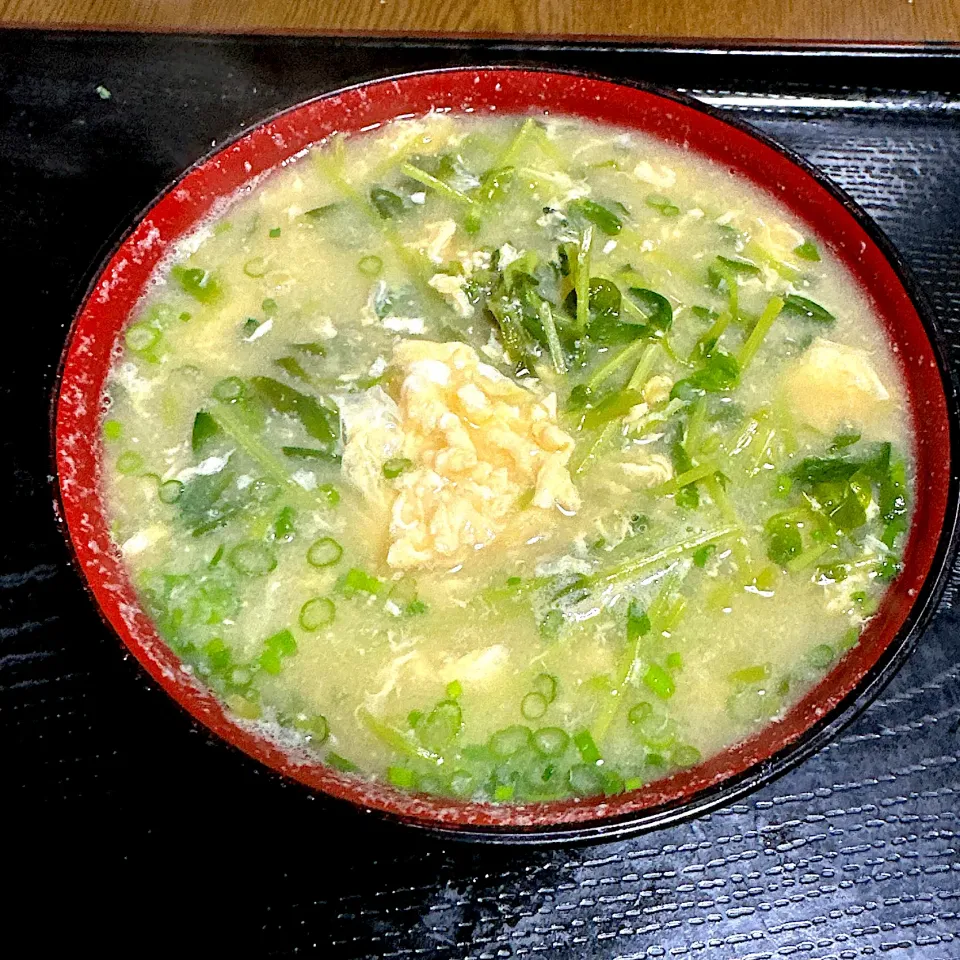 豆苗と玉子の味噌汁|たまさん