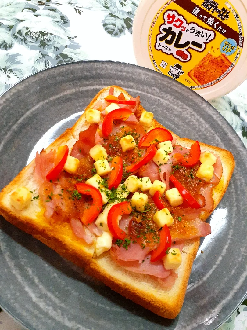 Snapdishの料理写真:🔷カレー🍕ピザ風な土曜日の朝食☕🍞🌄20230218🔷|@きなこさん