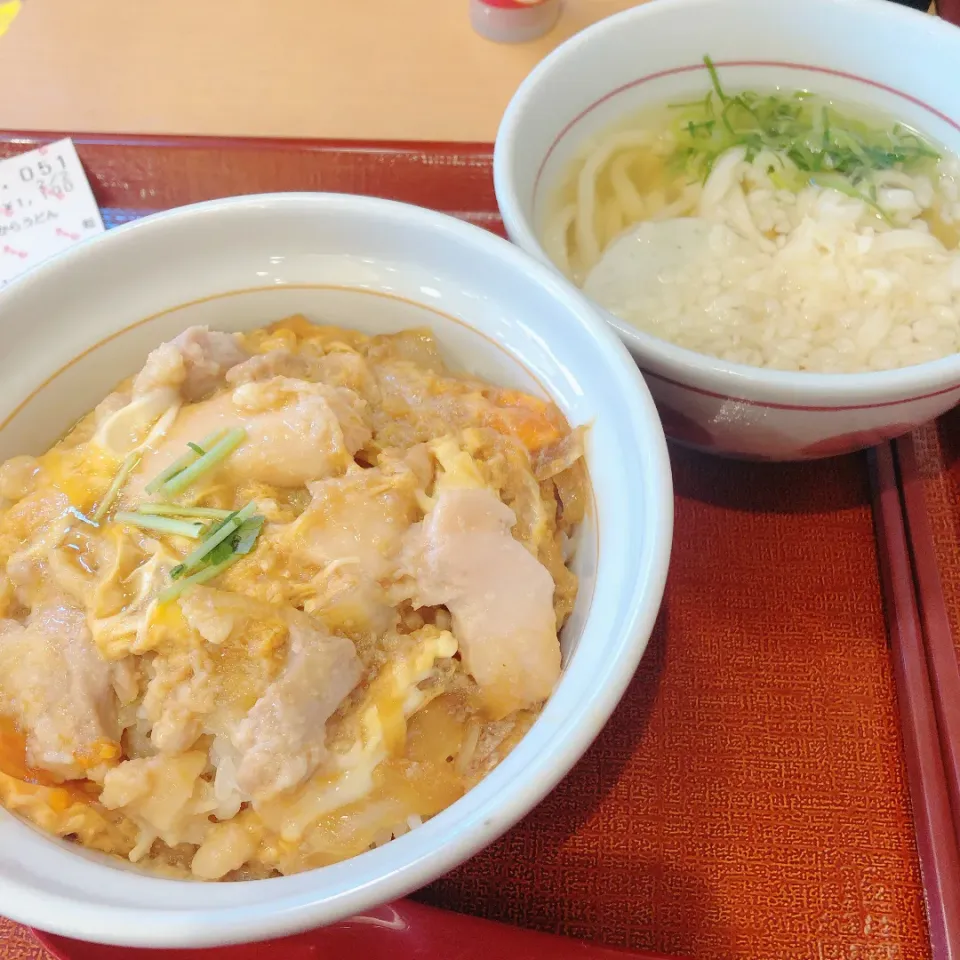 お昼ご飯|まめさん