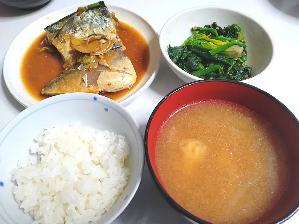 さば味噌定食|烏賊シャトルさん