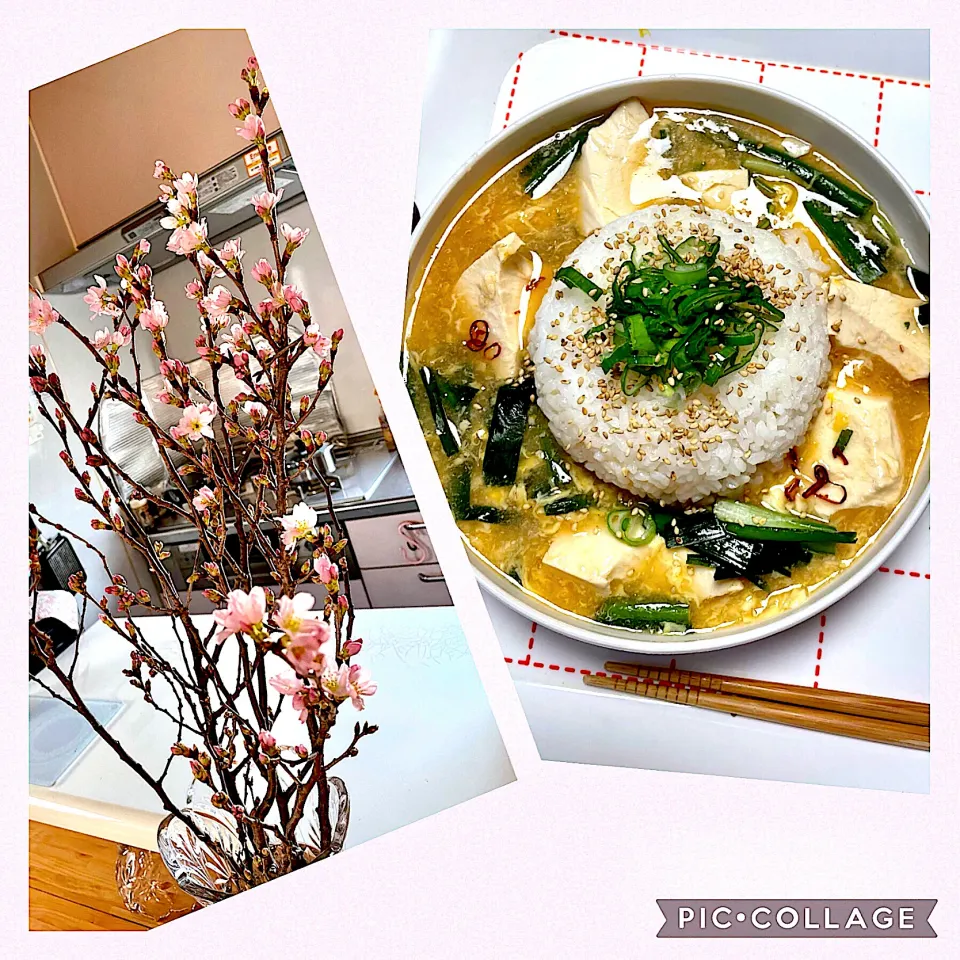 啓翁🌸と酸辣湯豆腐のクッパ|okeiko🎶さん