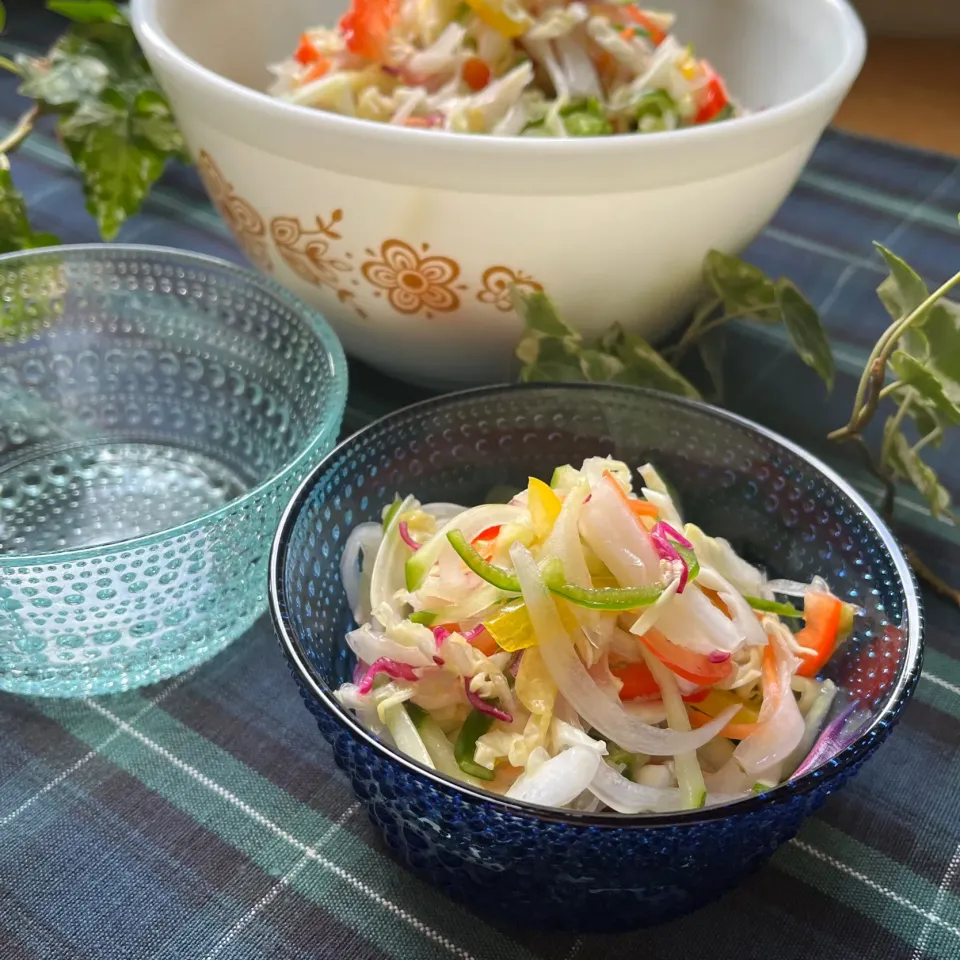 Snapdishの料理写真:🌿通称【ママサラダ】　母の冷蔵庫お片付けサラダはアルモンデ千切り野菜の特製ドレッシング和えサラダ🌿|Hollyさん