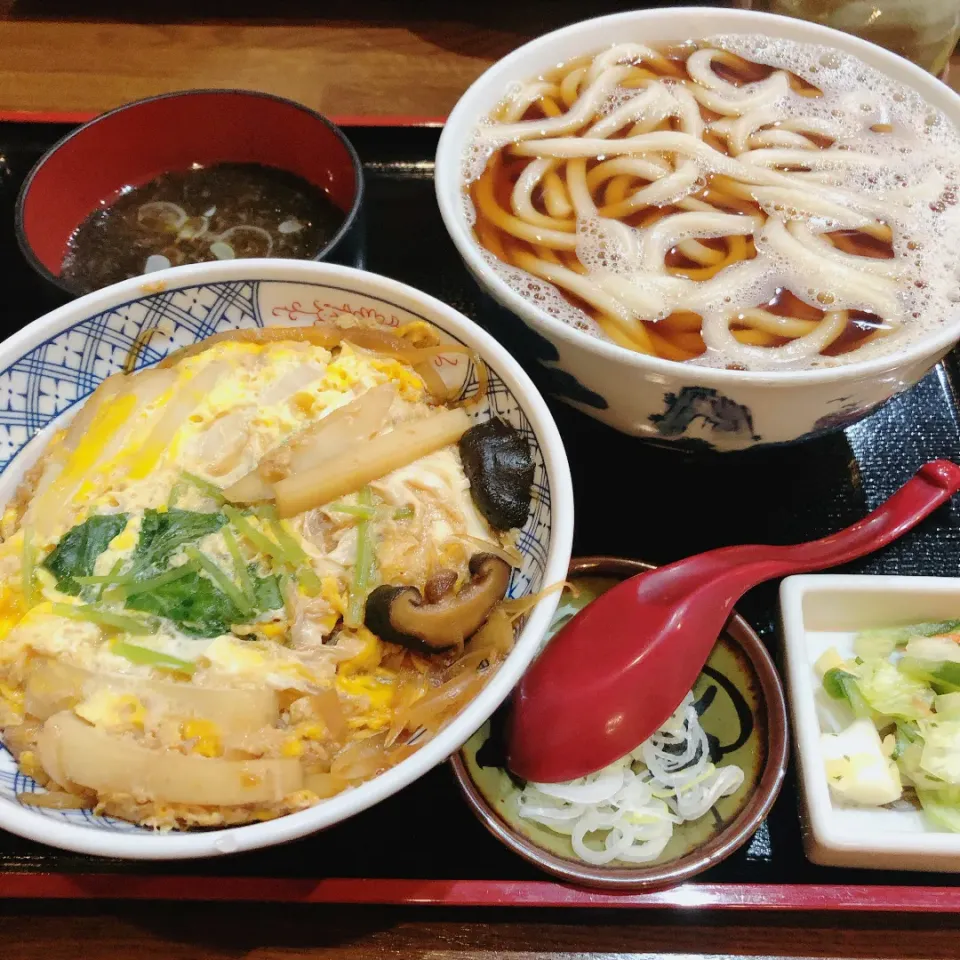 晩ご飯|まめさん