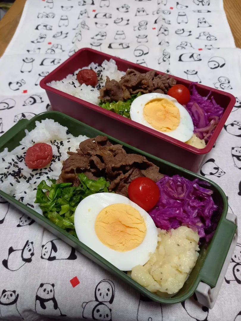 今日のお弁当|marutanさん