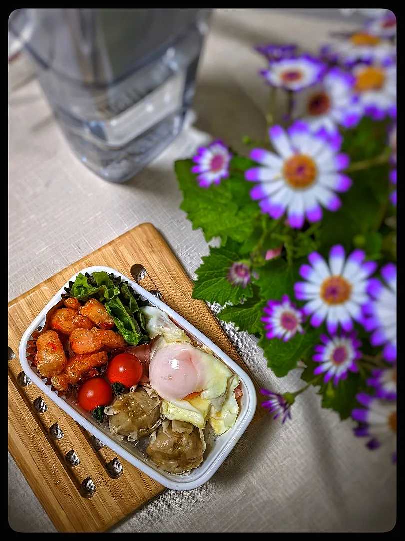 1/21お弁当|Tamamiさん