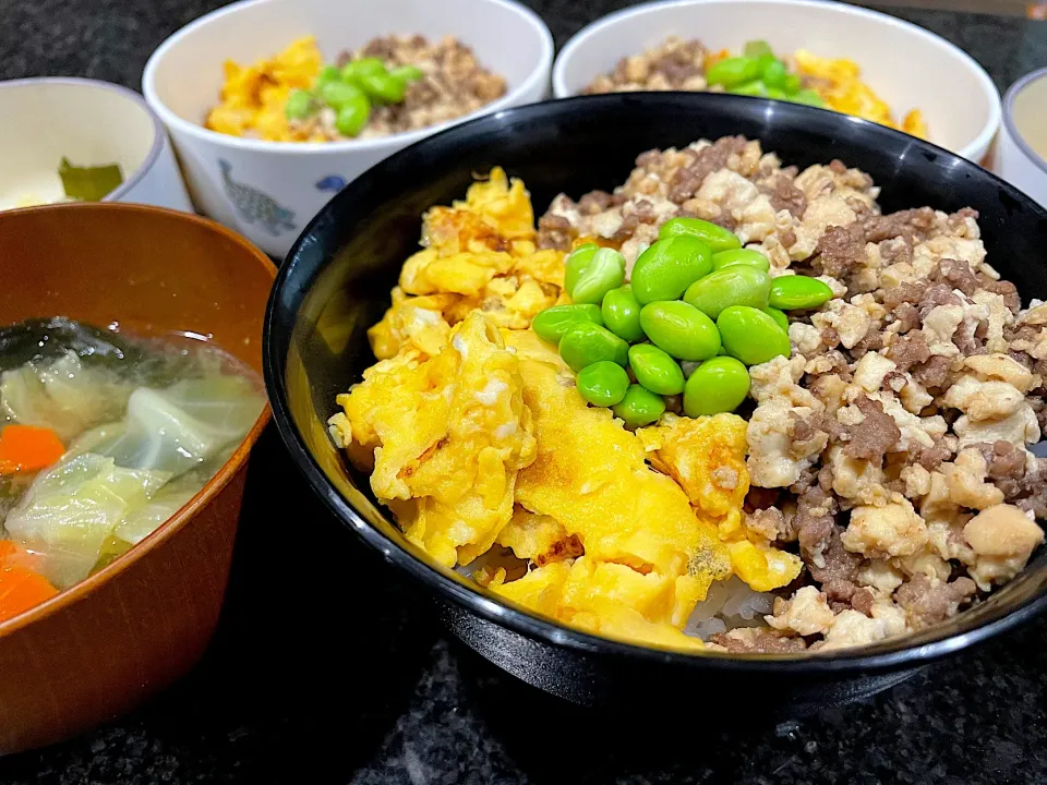 Snapdishの料理写真:●２食丼●味噌汁|SAKI🖤✨さん