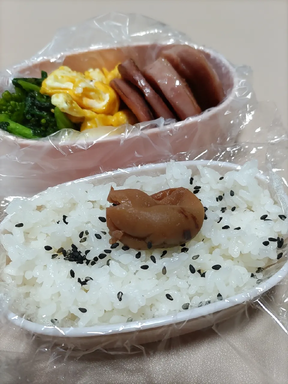 Snapdishの料理写真:2/22 派遣かーちゃん弁当|けろよんさん