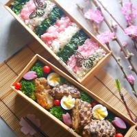 ひしもちカラー丼と肉厚しいたけバーグ弁当