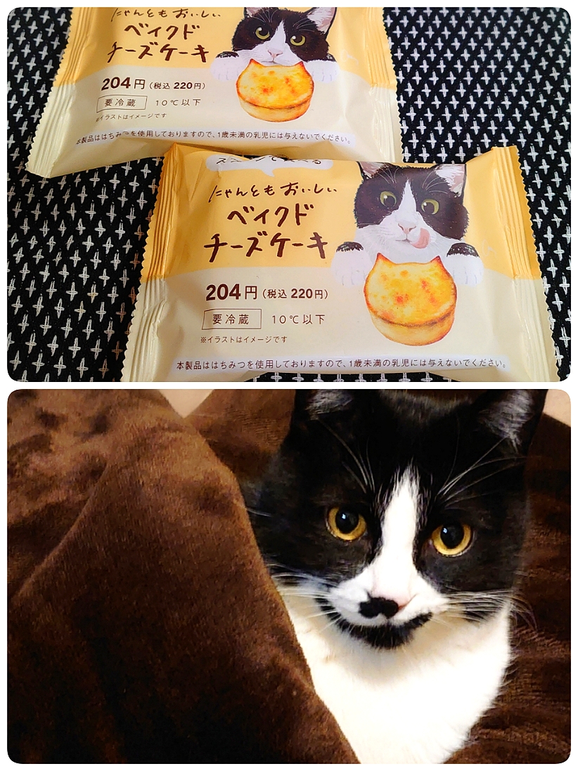 めっちゃ可愛い♪にゃんともおいしいベイクドチーズケーキ