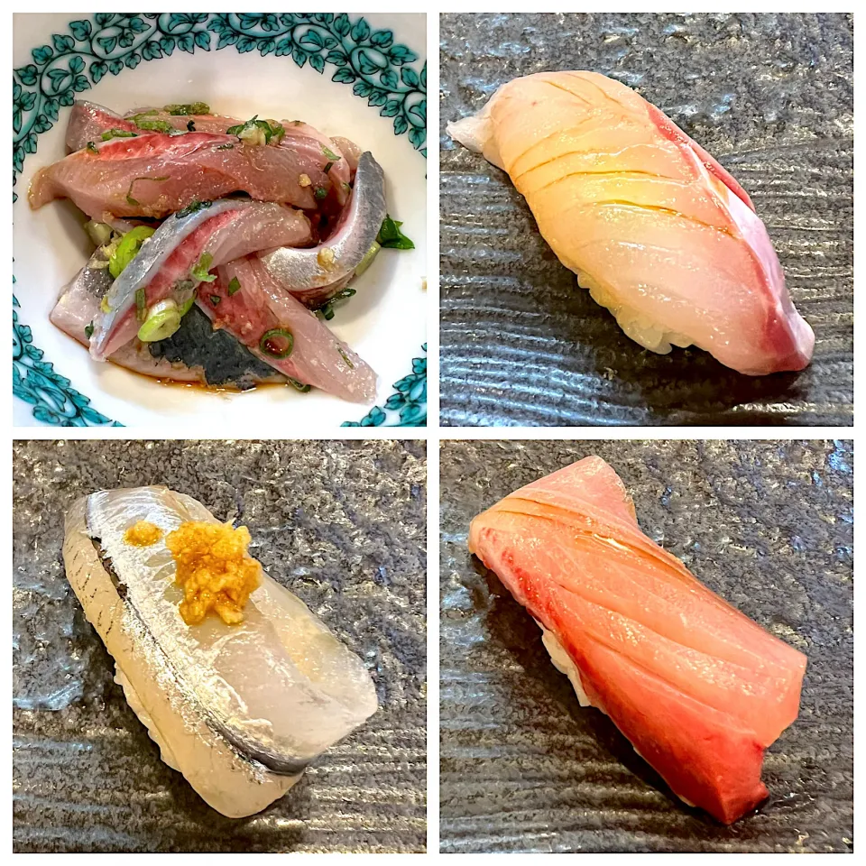 鰯、アラ、細魚、鰤|流線形さん