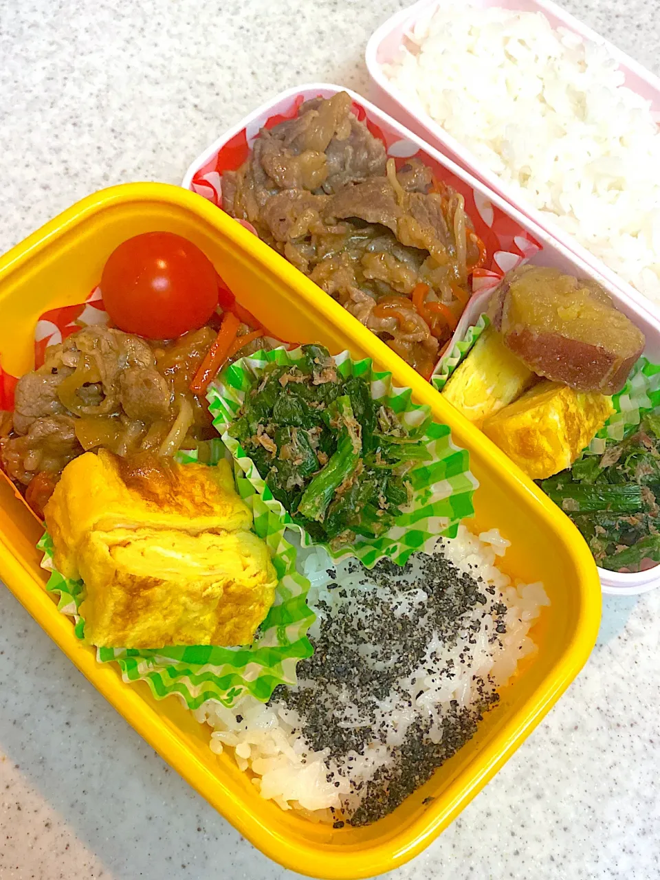 今日のお弁当|asumamaさん