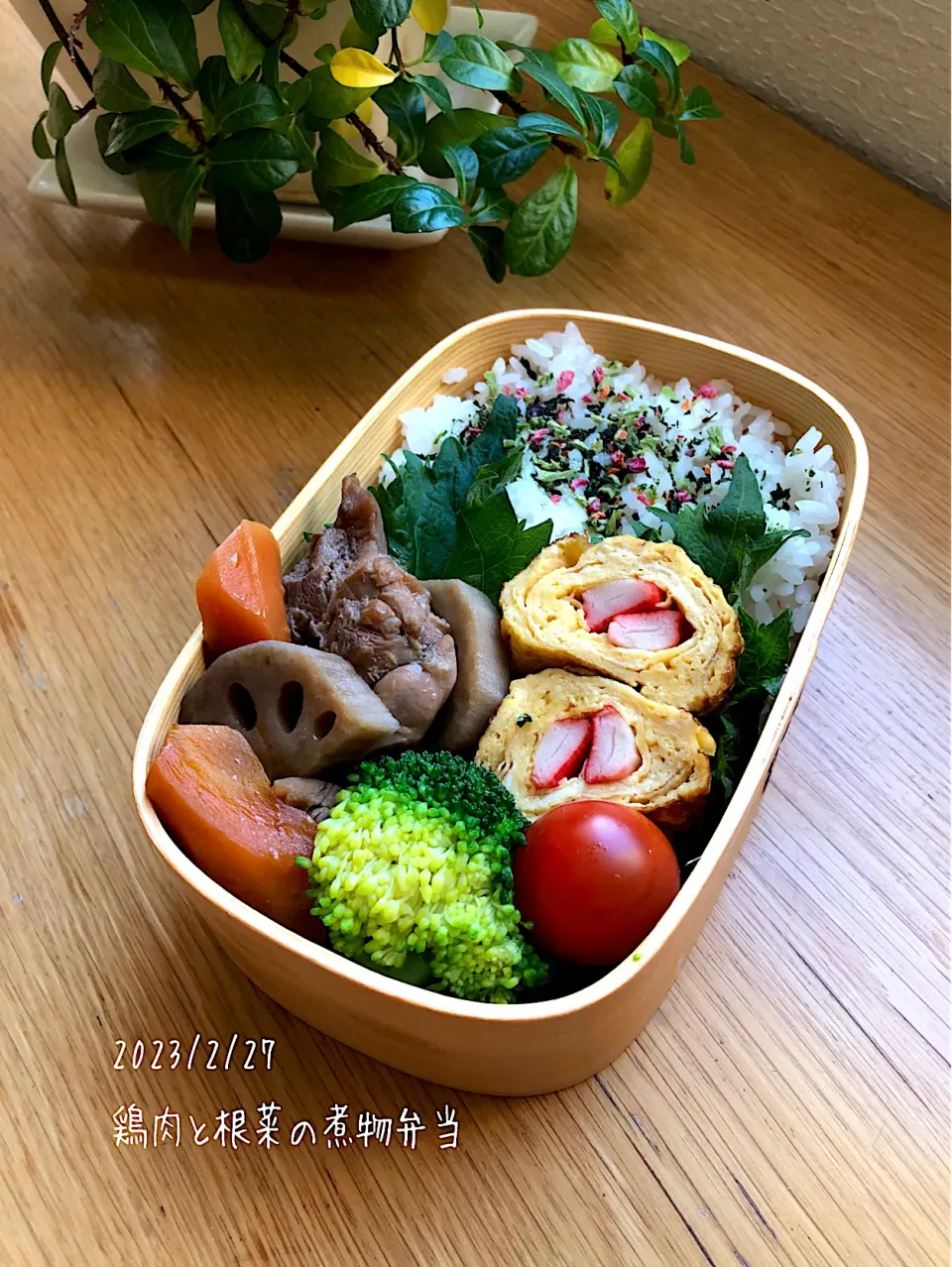 にいちゃん弁当♪鶏肉と根菜の煮物〜|ゆきさん