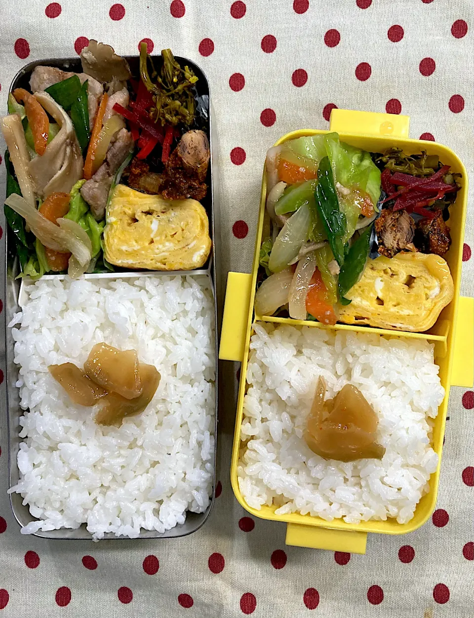 2月27日 久々弁当🍱|sakuramochiさん