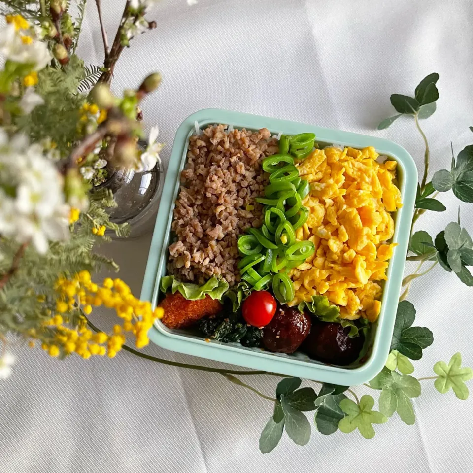 Snapdishの料理写真:2/28❤︎主人の三色そぼろ弁当🌱✨
今日で2月も終わり…暖かい一日になりそうですね☀️|Makinsさん