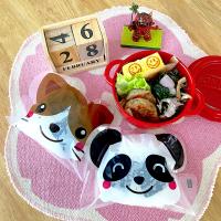 娘の卒業遠足お弁当