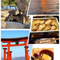 宮島の『牡蠣飯とぜんざい😋』