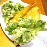 ふきのとうの天ぷら
