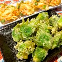 ふきのとうの天ぷらと、野菜のかき揚げ