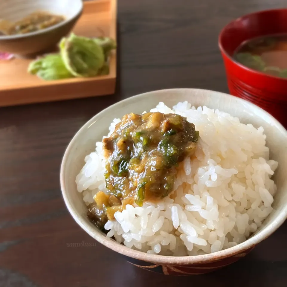 ふきのとう味噌|うさかめさん