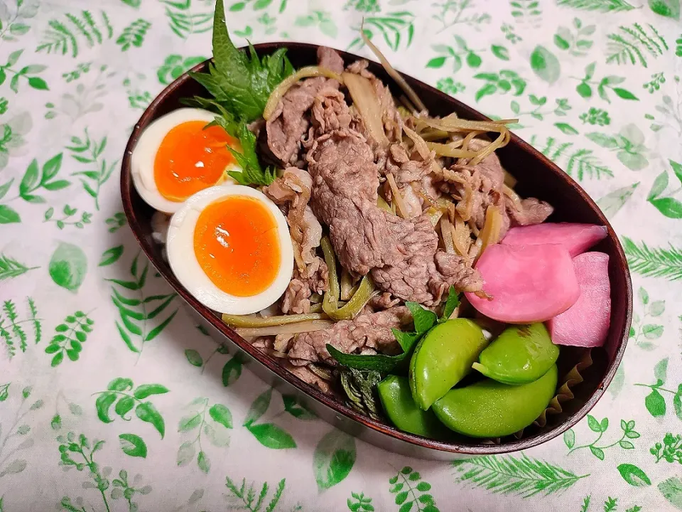 今日のお弁当|にんじんさん