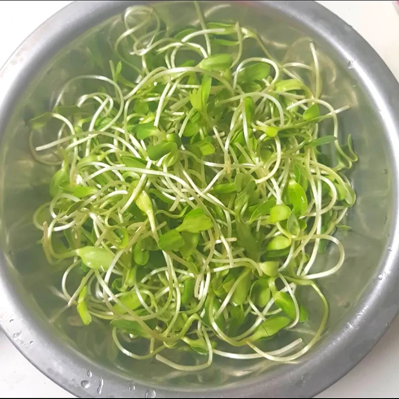 sunflower sprouts|patlovestocookさん