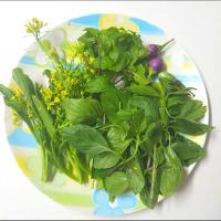 fresh vegetables