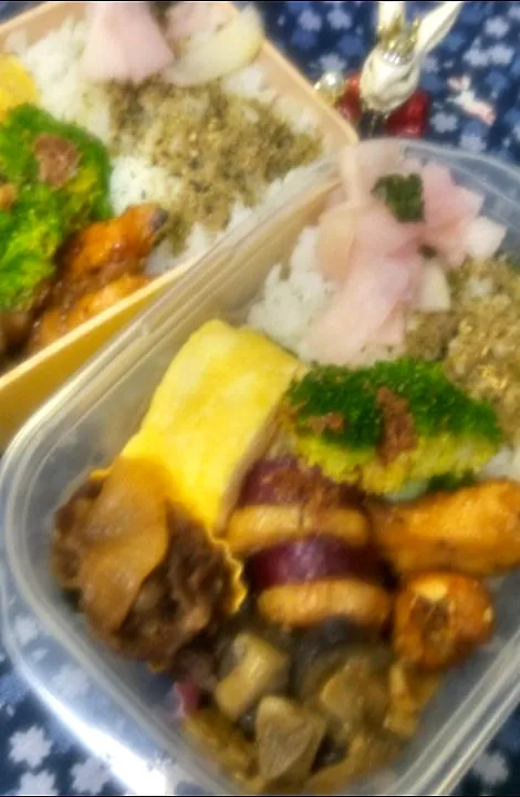 '23．3/3
本日のお弁当🍱|たえさん